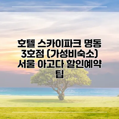 호텔 스카이파크 명동 3호점 (가성비숙소) 서울 아고다 할인예약 팁