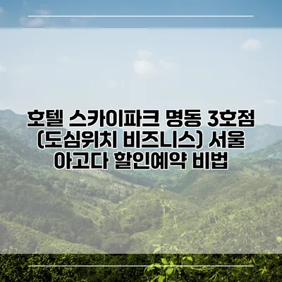 호텔 스카이파크 명동 3호점 (도심위치 비즈니스) 서울 아고다 할인예약 비법