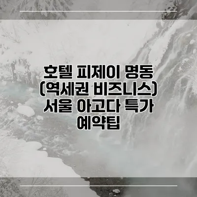 호텔 피제이 명동 (역세권 비즈니스) 서울 아고다 특가 예약팁